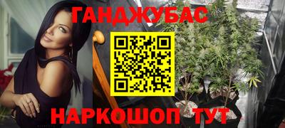 стаф Гулькевичи