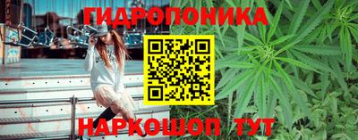 мяу мяу мука Мариинск