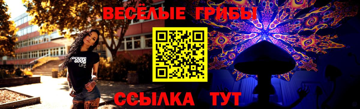 Верхняя Пышма  Псилоцибиновые грибы Psilocybe  Галлюциногенные грибы GOLDEN TEACHER  Вход с VPN 