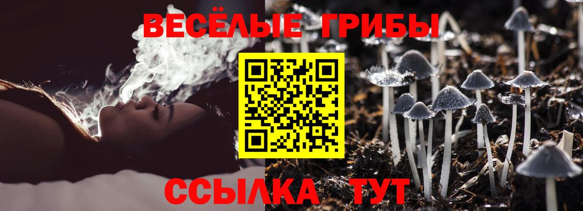 Галлюциногенные грибы Psilocybine cubensis Верхняя Пышма